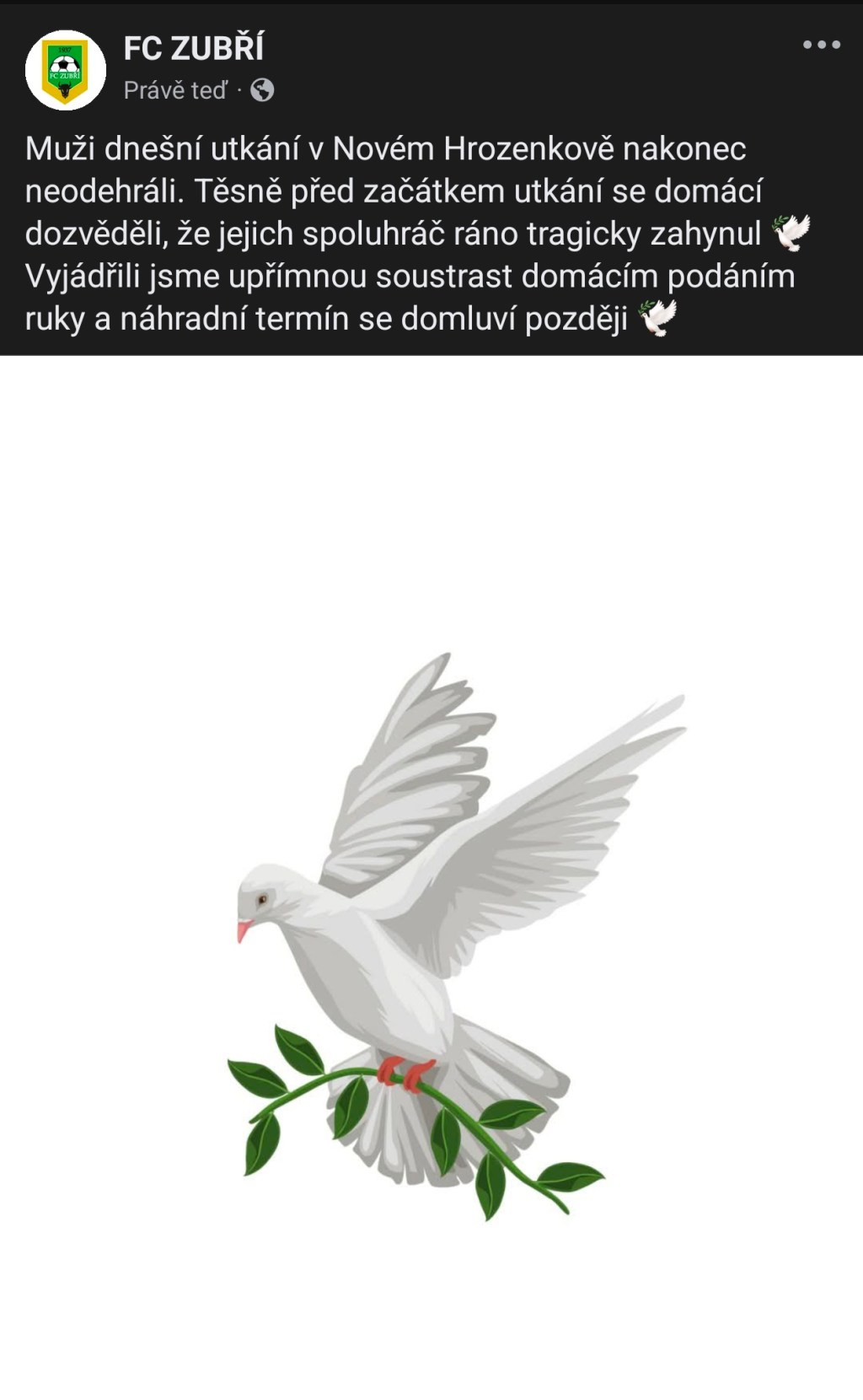 Muži utkání v Novém Hrozenkově&nbsp;neodehráli